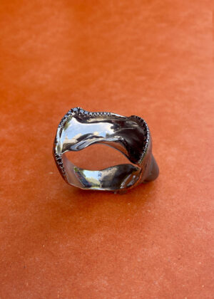 Broken Home - Broken Home II - Ring