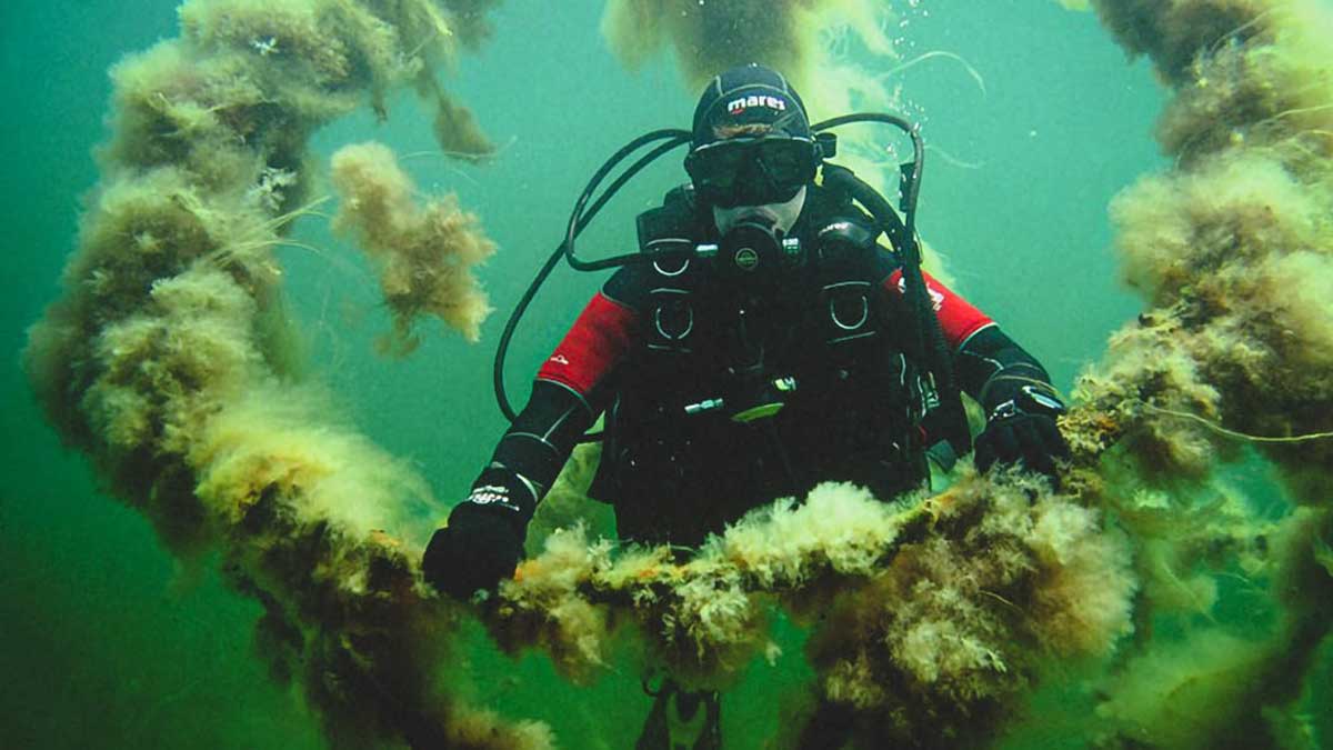 Kamæleon Pålægsgaffel - Zoologisk Sølv - Sterlingsølv af Gitte Bjørn