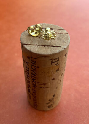 Edderkop Ørestik Gitte Bjørn