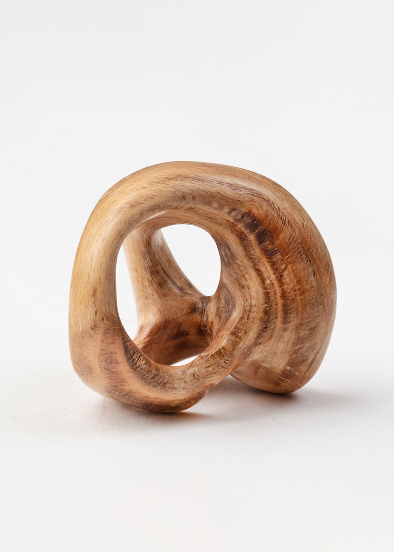 Implosion I Bearbejdet Bøgevorte Gitte Bjørn-21