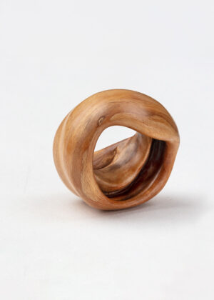 Implosion II Bearbejdet Bøgevorte Gitte Bjørn-22