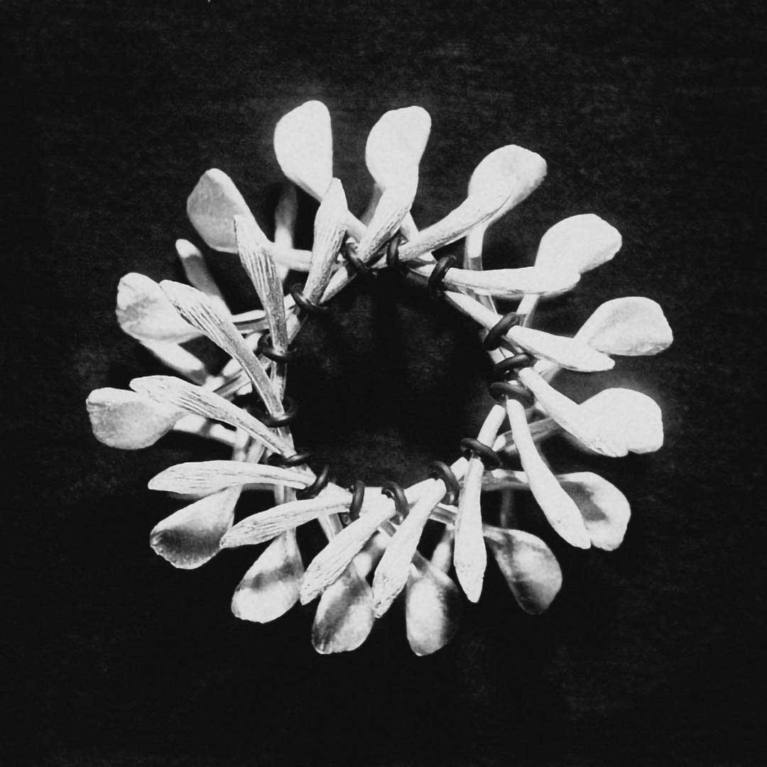 Wishbone  Identitet Valg Vilkaar Gitte Bjorn